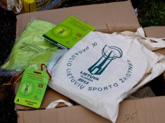 VYKSTA PASIRENGIMAS X-SIOMS PASAULIO LIETUVIŲ SPORTO ŽAIDYNĖMS