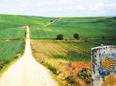 Ispanijos Lietuvių Bendruomenė ir LR ambasada Madride kviečia dalyvauti renginyje  Šv. Jokūbo kelias – „Camino de Santiago“