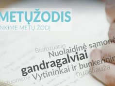 2017-ųjų Metų žodis ir Metų posakis