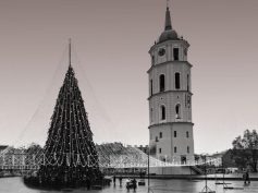 PLB valdyba linki džiaugsmingų šv. Kalėdų ir dalijasi ateinančių metų planais