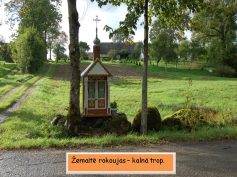 Į kokius daiktus panašios žmogaus kūno dalys žemaičiams