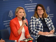 Mokymų lituanistinių mokyklų mokytojams organizatoriai kviečia: „Ateikite ir pasiimkite“