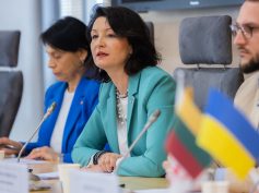 PLB vadovė Dalia Henke apie 30 metų mininčią LRS ir PLB komisiją: „Šį unikalų modelį bando nukopijuoti“