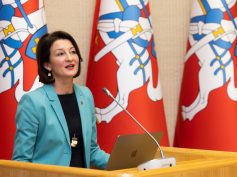 PLB pirmininkei Daliai Henke skirtas aukščiausias Kultūros ministerijos apdovanojimas