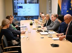 Tarpinstituciniame susitikime aptarti grįžtančių diasporos vaikų integracijos į mokyklas iššūkiai